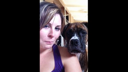 Awesome Animal Tongues  Compilation