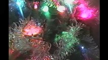 Cats In Christmas Trees  Compilation