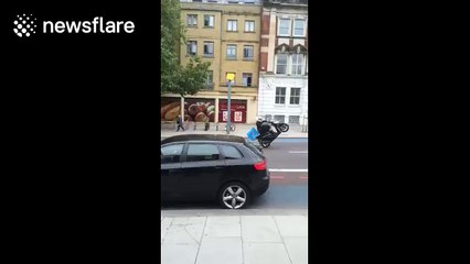 Domino's delivery driver topples off moped while performing wheelie