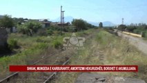 TRENI I LINJËS SHKODËR -TIRANË DY JAVË QË NUK FUNKSIONON