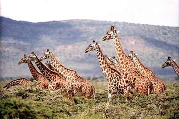 부산19알바,서울노래방알바『검색↔찜알바』미국알바