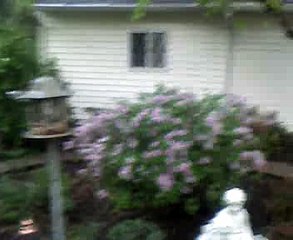 Touring my room and backyard Video by Brandon - Myspace Video1