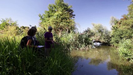 Bande annonce “Les annexes hydrauliques de la Moselle action-1