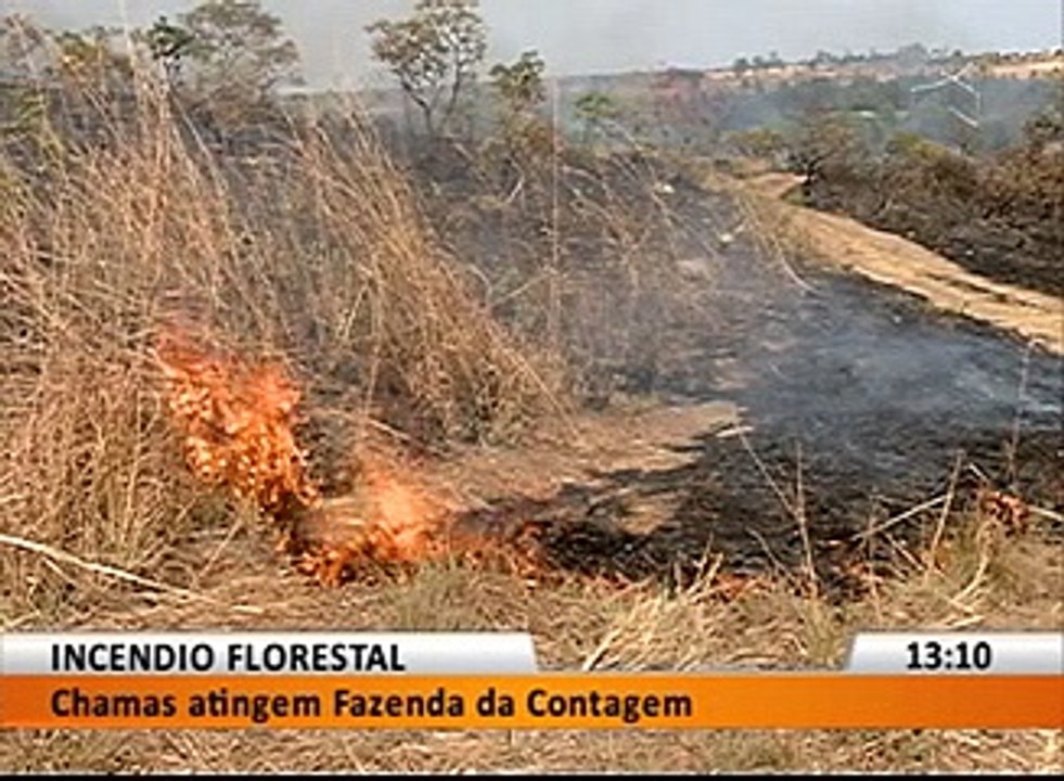 INCÊNDIO FLORESTAL