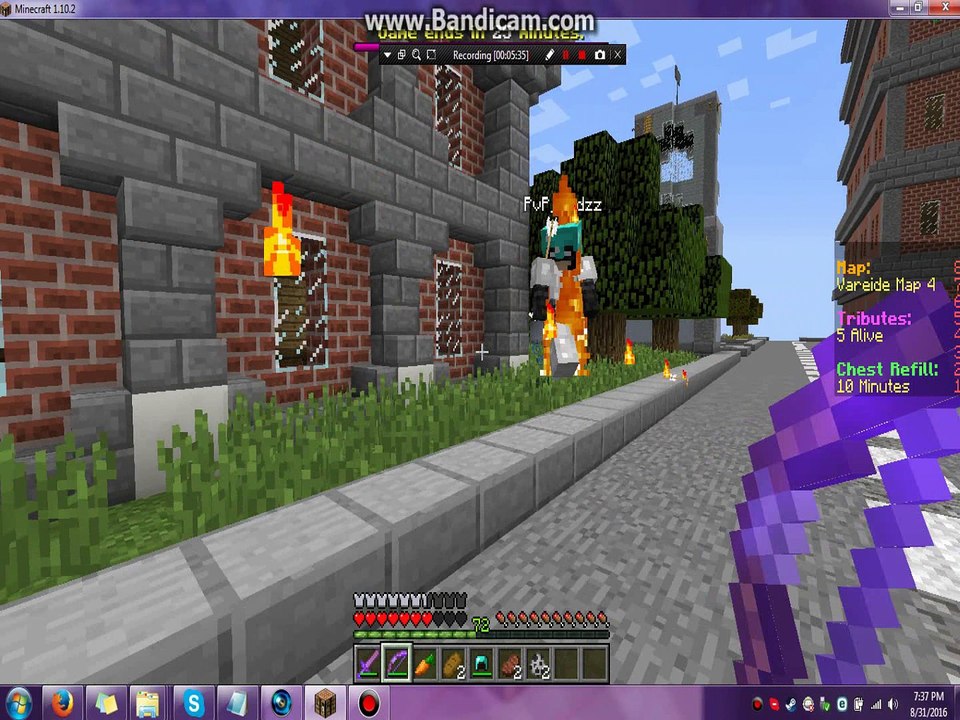 pvpvgodhack
