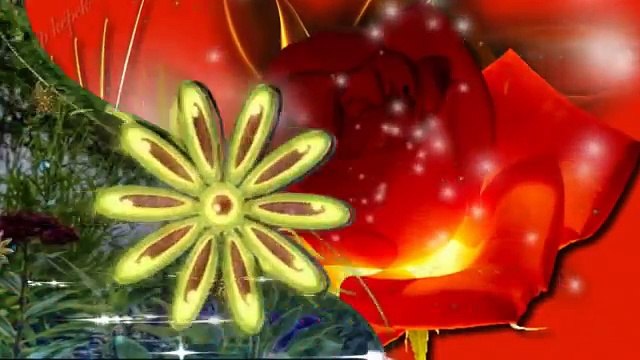 So ist das Leben - Frans Bauer-Brak20DsNtI-HQ