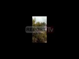Report TV - Vatër zjarri në Pishporo të Vlorës digjen dhjetra hektarë me pyje