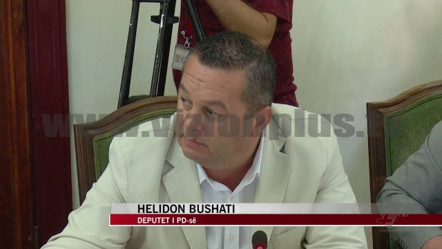 Port gjigand në Karpen të Kavajës - News, Lajme - Vizion Plus