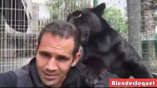Amazing Human Friendship With Black Panther