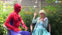 Spiderman & Frozen Elsa saves Spiderbaby w/ Joker, vampire / Fun Superhero
