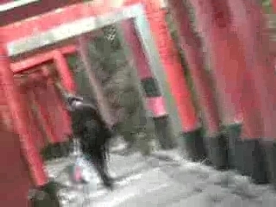 Torii
