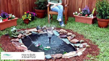 Comment faire un beau petit lac dans son jardin soi-même ?