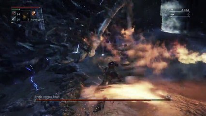 Bloodborne jefe Bestia Oscura Paarl