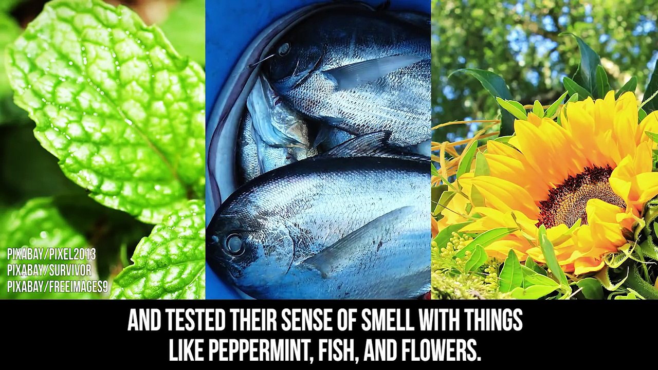 10 Mind-Blowing Things Science Recently Discovered