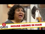 Mouse Hidden in Woman's Hair - Just For Laughs Gags