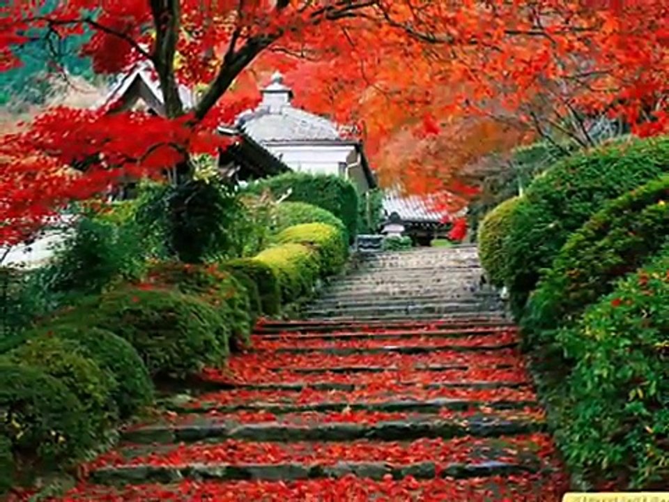 ALEJANDRO FERNANDEZ - CHATITA QUERIDA