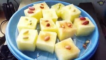 Easy way planted nut with plastic bottles the nice /hydrophonic