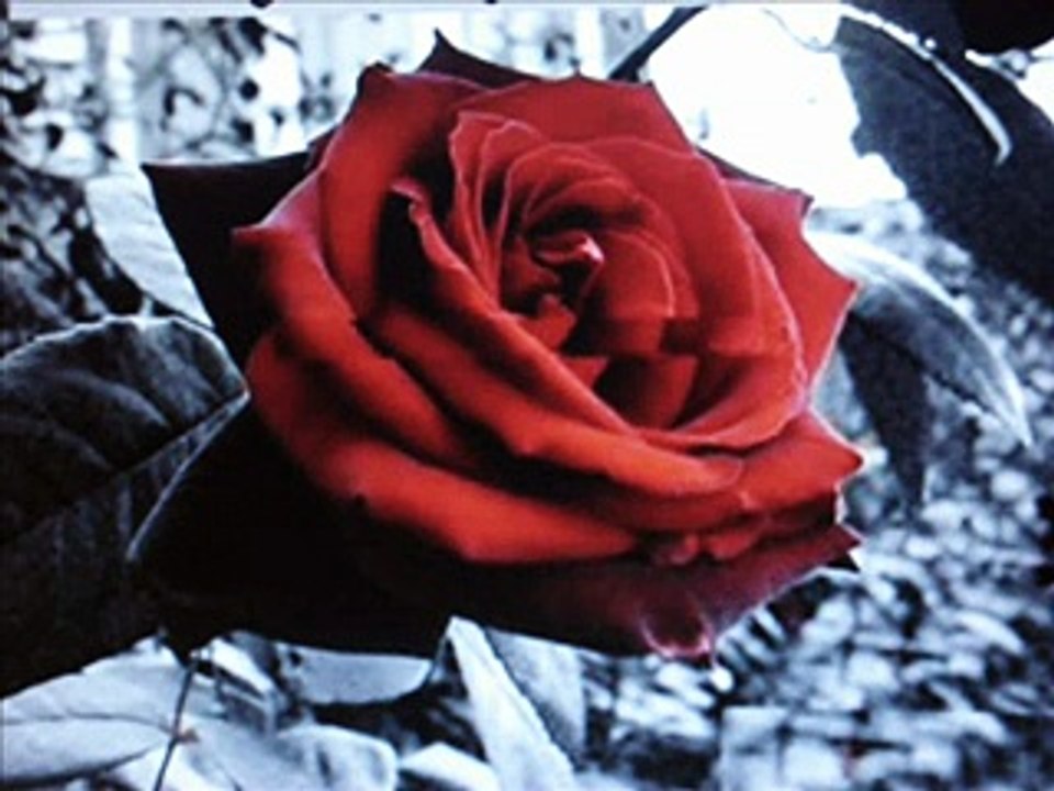 ALEJANDRO FERNANDEZ - CUANDO ESTAMOS JUNTOS