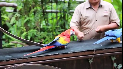 Kids and wild animals At The Zoo