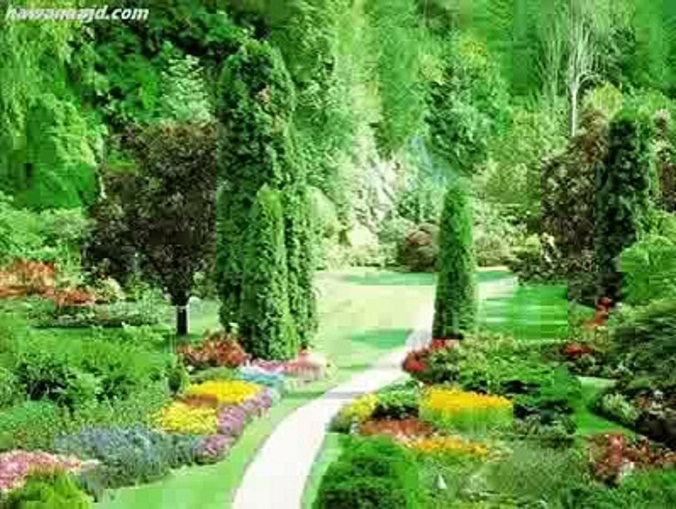 دعاء جميل للشيخ ماهر المعيقلي