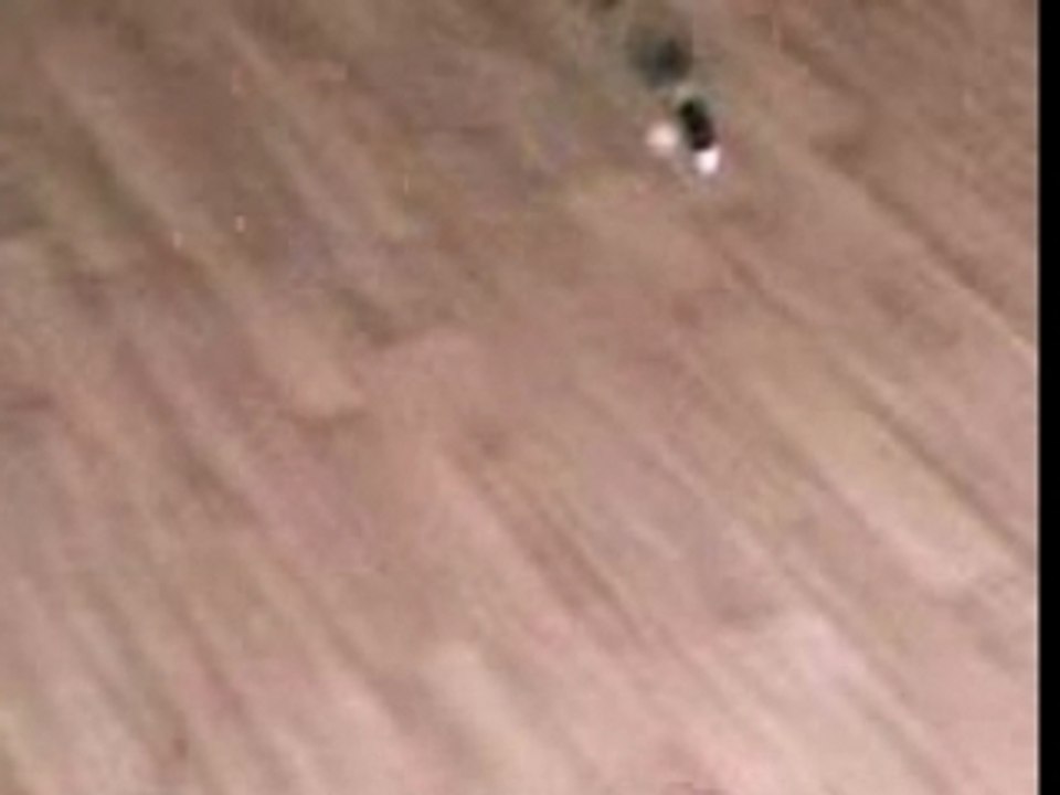 Picoo'z piloter grace à une PSP !!!