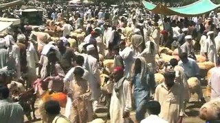 Crowd in cattle market before Eid-ul-Azha