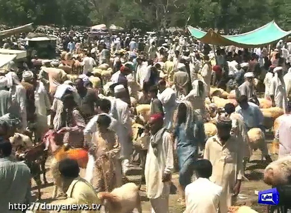 Crowd in cattle market before Eid-ul-Azha