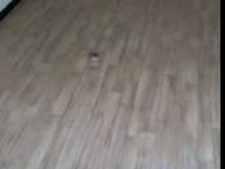 Picoo'z piloter grace à une PSP !!!