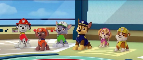 Patrulla Canina En Español Aprender Los Patrones Episodio 1