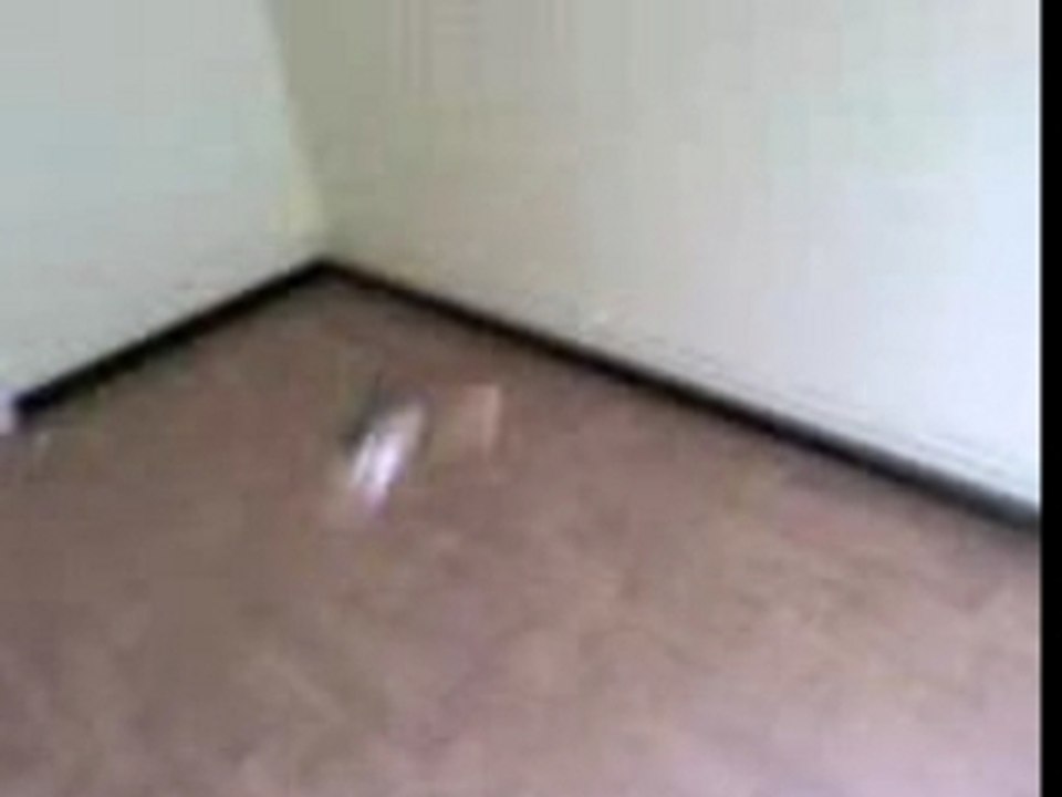 Picoo'z piloter grace à une PSP !!!