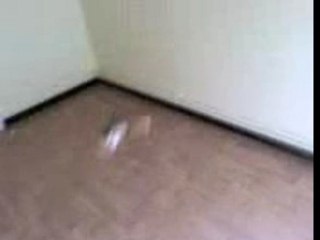 Picoo'z piloter grace à une PSP !!!