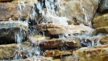 Waterfall Water Flowing Wet Cascade