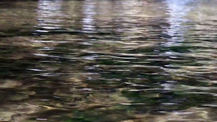 Water - Ultra High Definition Video HD (3)