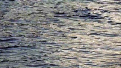 Water - Ultra High Definition Video HD (2)