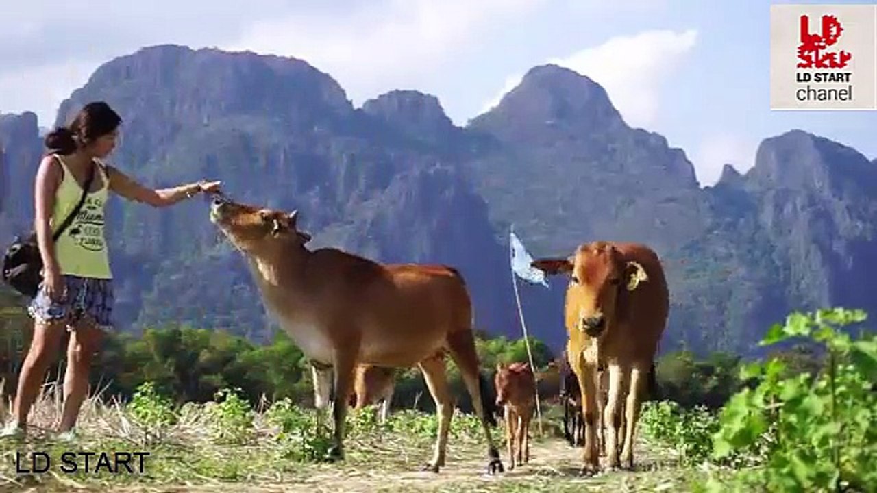 Best Vang Vieng Trip - Laos 2016 Tubing & Travel - LD START