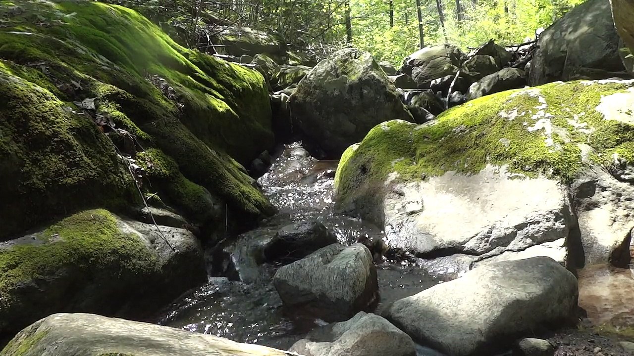 Stream - Ultra High Definition Video HD 2