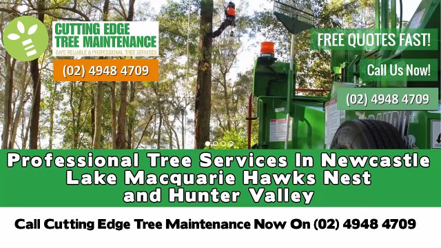 Tree Loppers Newcastle - Cutting Edge Tree Maintenance
