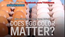 Có phải màu trứng càng sậm thì càng nhiều dinh dưỡng hơn?