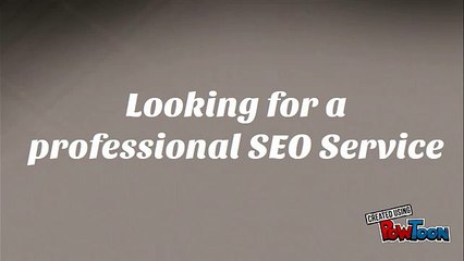 Looking for a professional SEO Service
