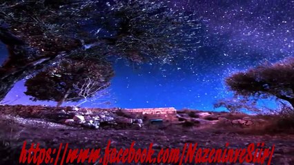 Zeki MÜREN  Kul defteri   Vd. Nazenin