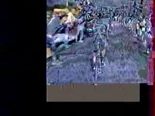 regis prend une photo