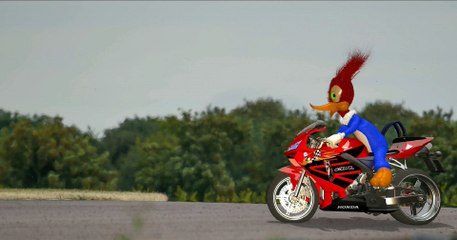 Honda Racing Team Universal Studio Collab