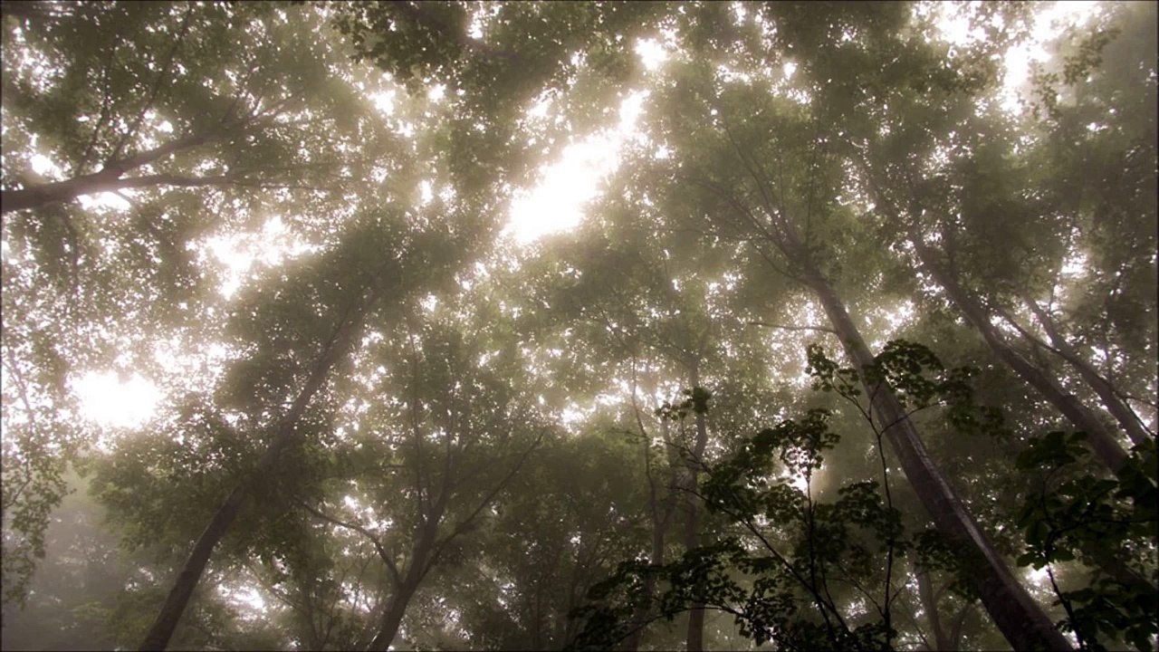 吉川利彦　【暗い・悲しいクラシックピアノ曲17】ショパン