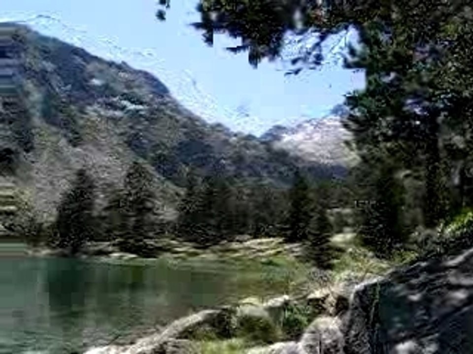 Laquettes et chants d'oiseaux