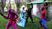 Frozen Elsa Dancing with Spiderman Pink Spidergirl & Hulk
