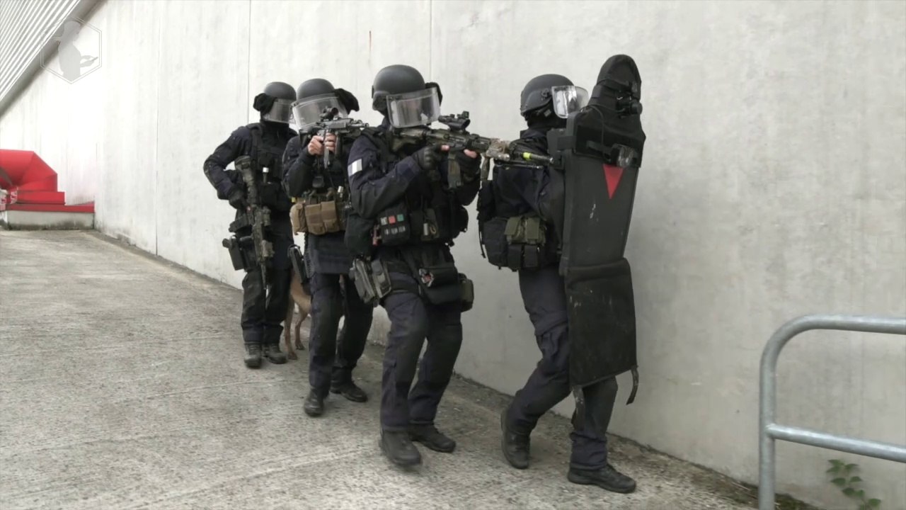 Graf, chien d'assaut au GIGN