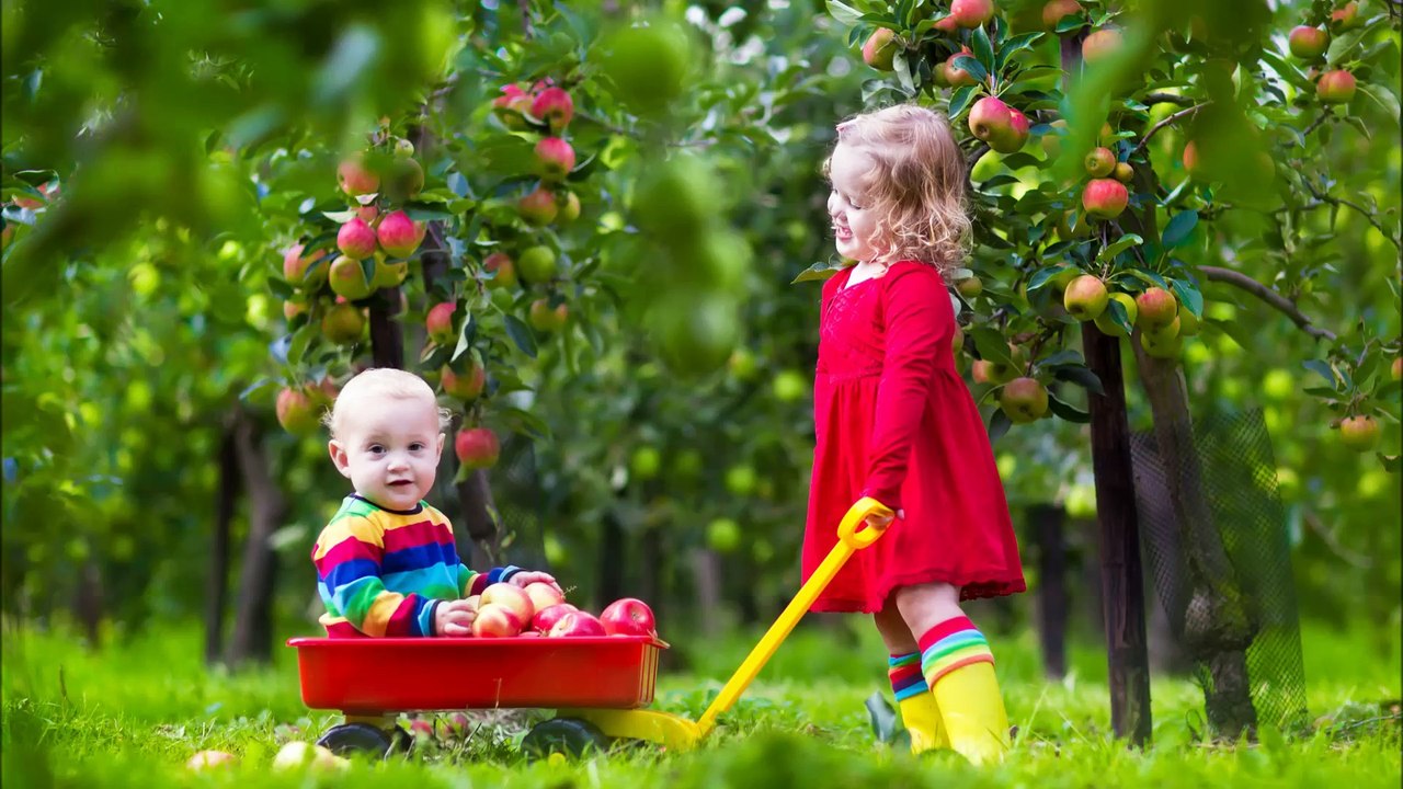 Paradise Landscaping - (360) 929-2471