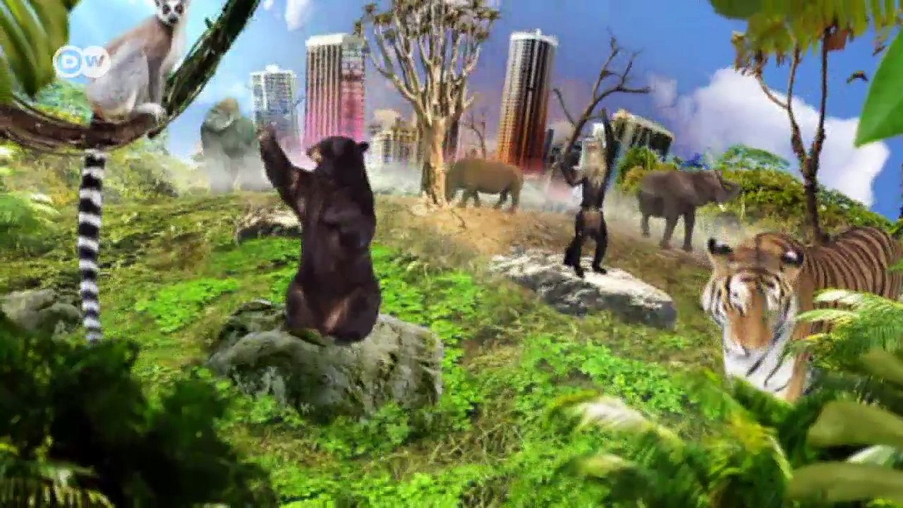 Die Leiden des Kragenbärs | Global 3000