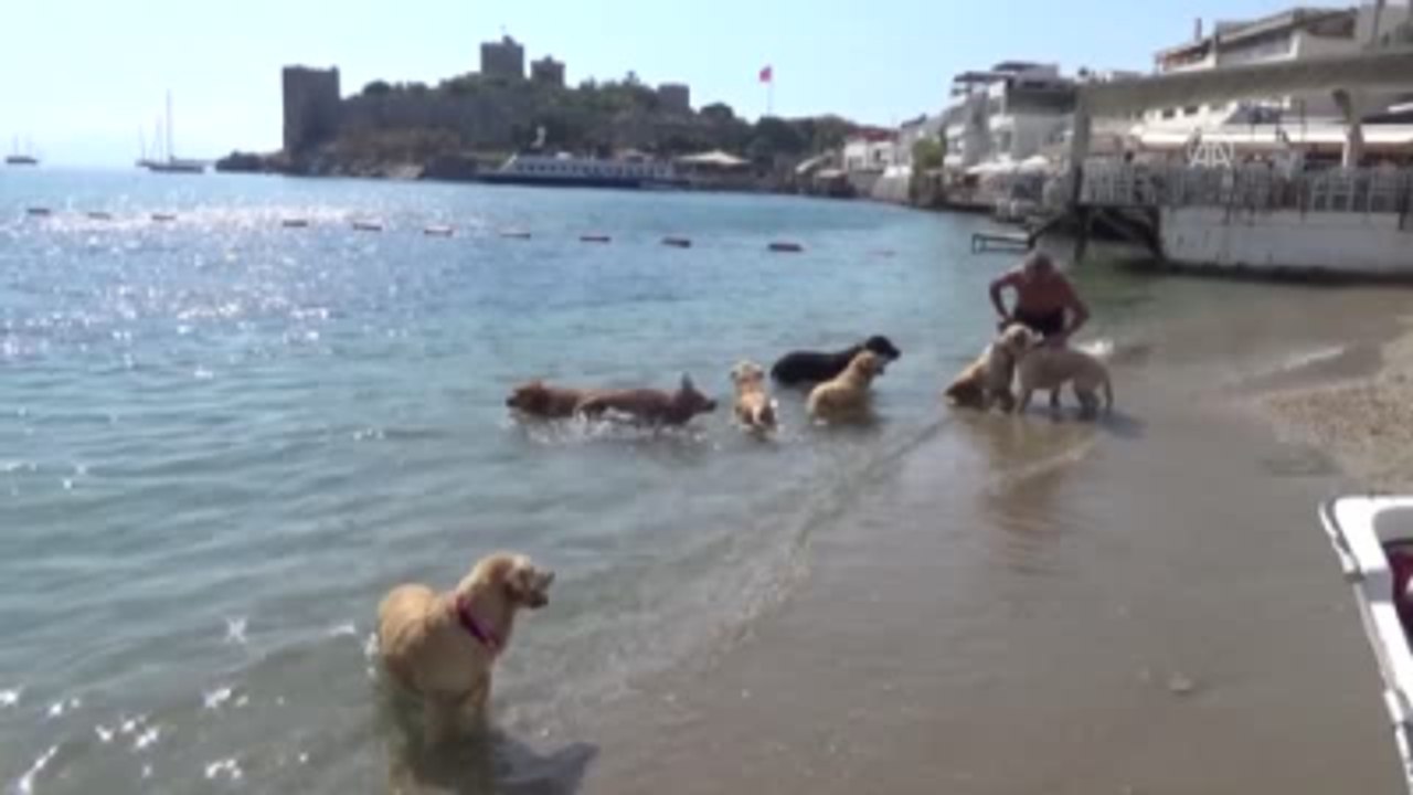 Bodrum'un "Golden Çetesi"
