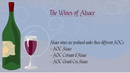 The Wines of Alsace